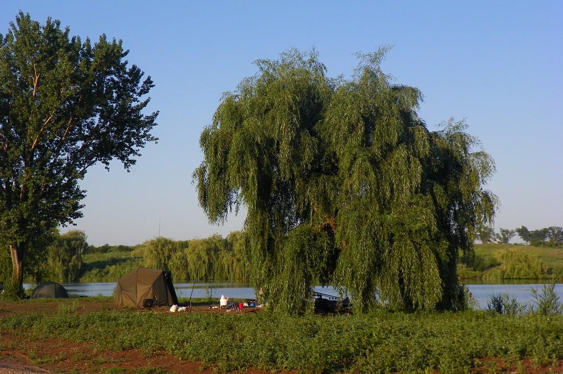 Hermes Peris 20 - 22 iunie 2014 - 1005249.jpg